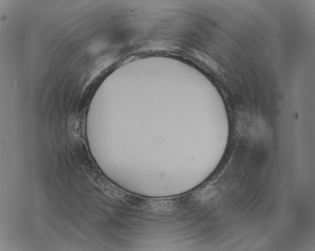 X0000074231258200609151637