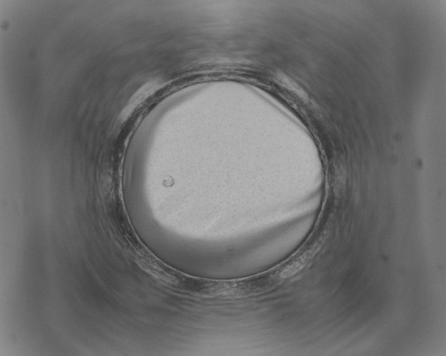 X0000074231259200609151637