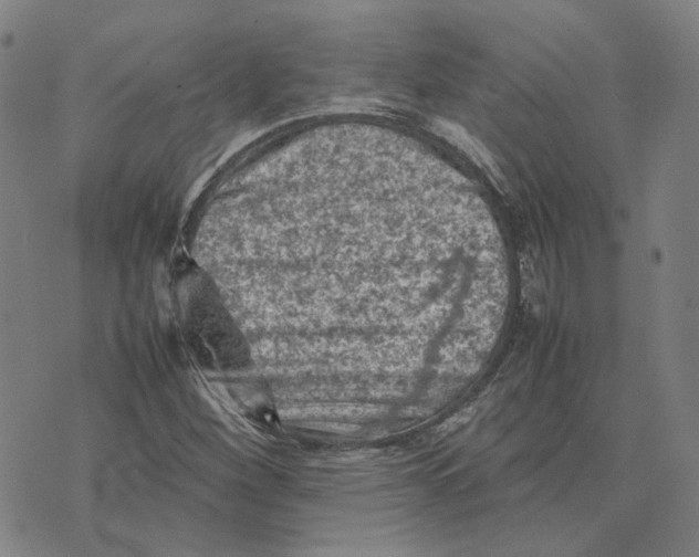 X0000074231260200609151637