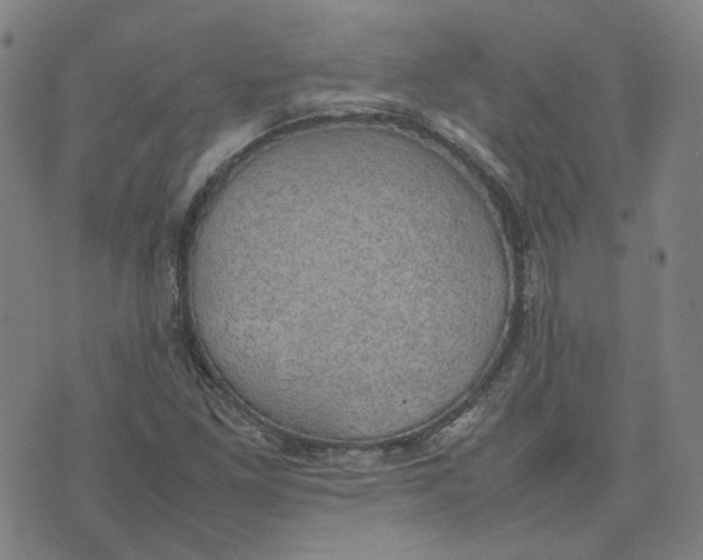 X0000074231261200609151637