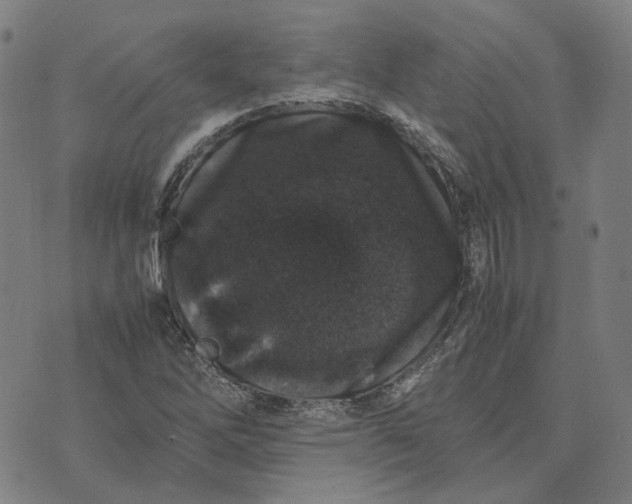 X0000074231262200609151637