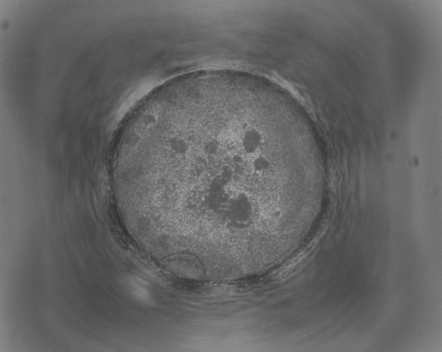 X0000074231263200609151637