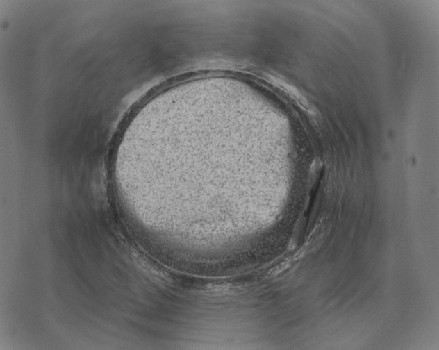 X0000074231264200609151637