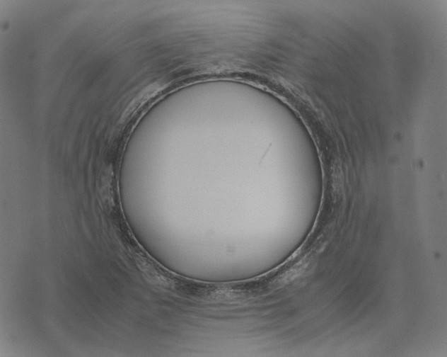 X0000074231265200609151637