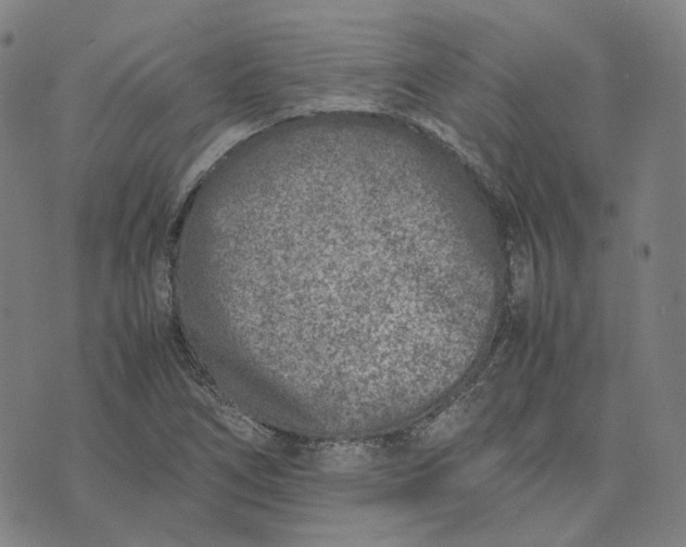 X0000074231266200609151637