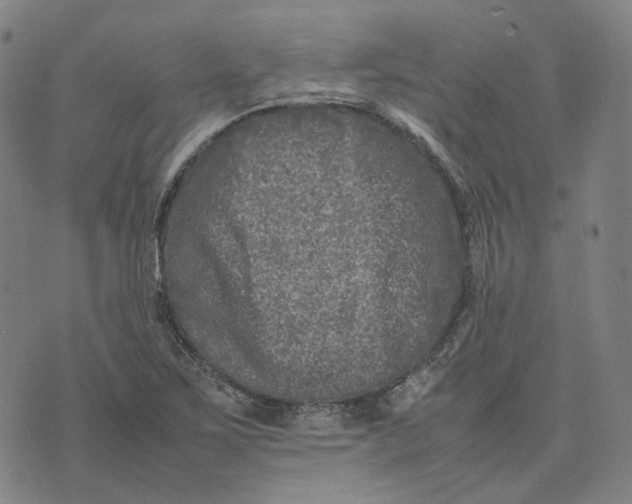 X0000074231267200609151637