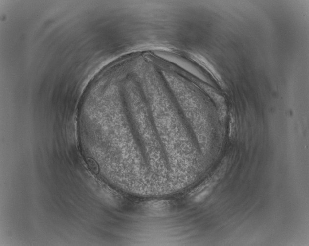 X0000074231268200609151637