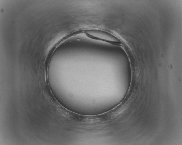 X0000074231269200609151637