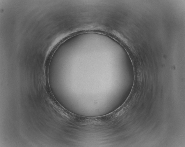 X0000074231270200609151637