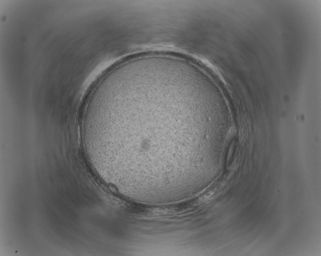 X0000074231271200609151637