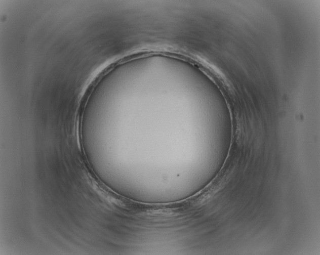 X0000074231272200609151637