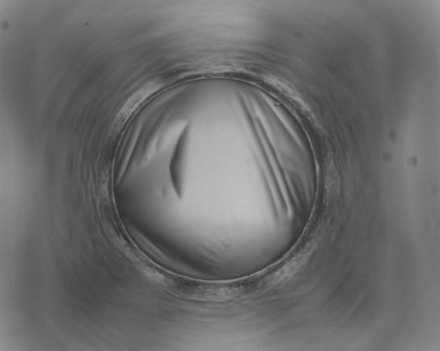 X0000074231273200609151637