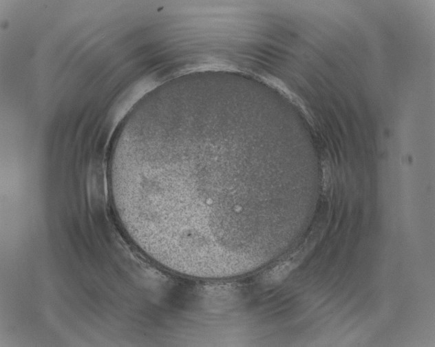 X0000074231274200609151637