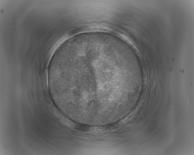 X0000074231275200609151637