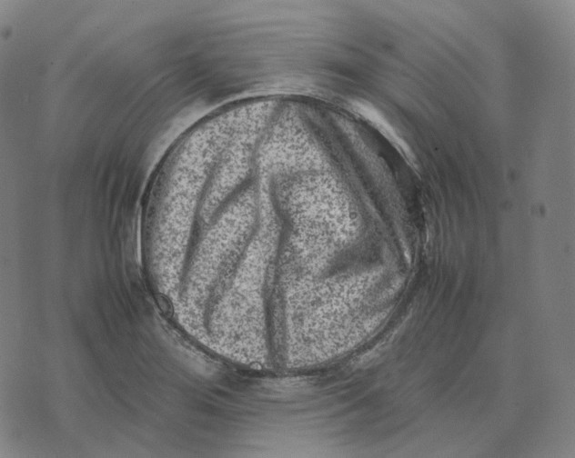 X0000074231276200609151637