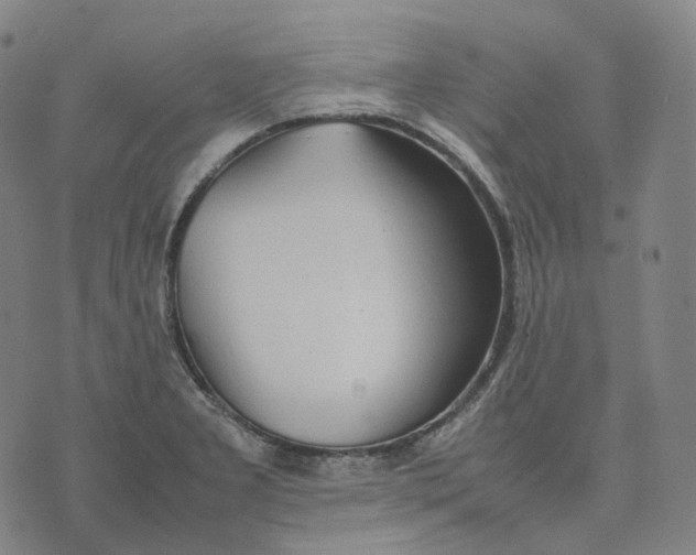 X0000074231277200609151637