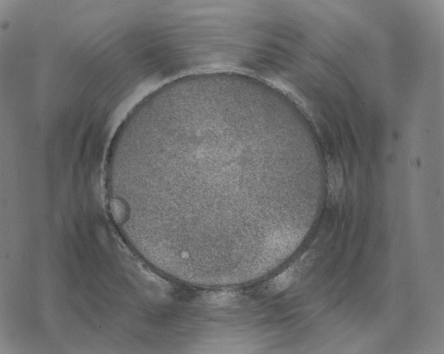 X0000074231278200609151637