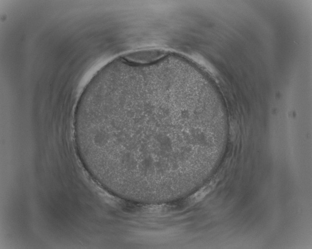 X0000074231279200609151637