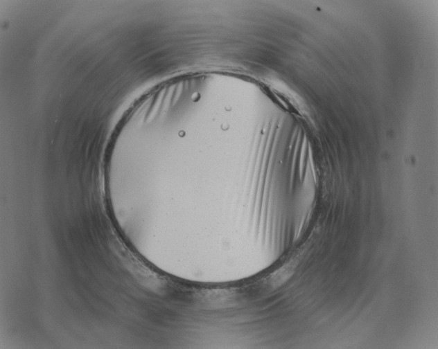 X0000074231280200609151637