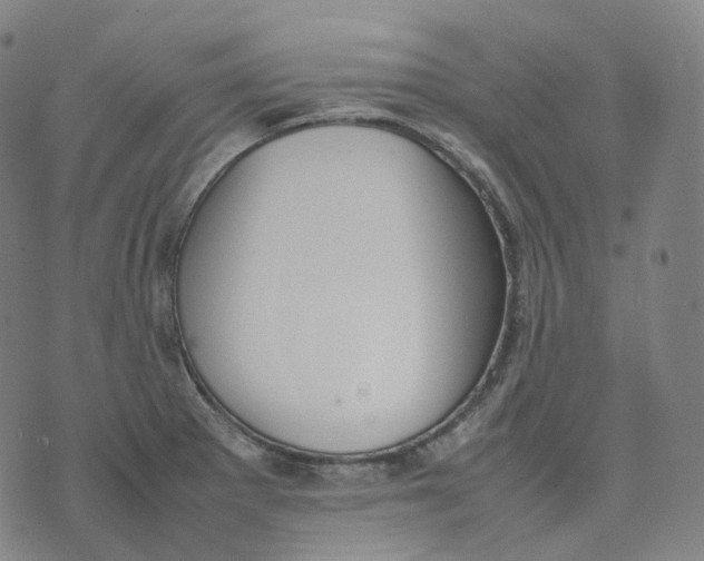 X0000074231281200609151637