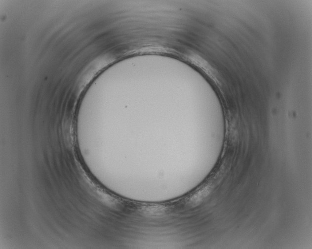 X0000074231282200609151637