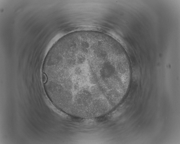 X0000074231283200609151637