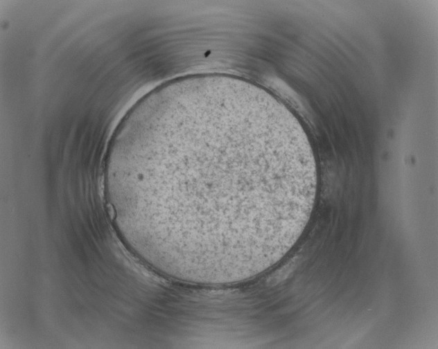 X0000074231284200609151637