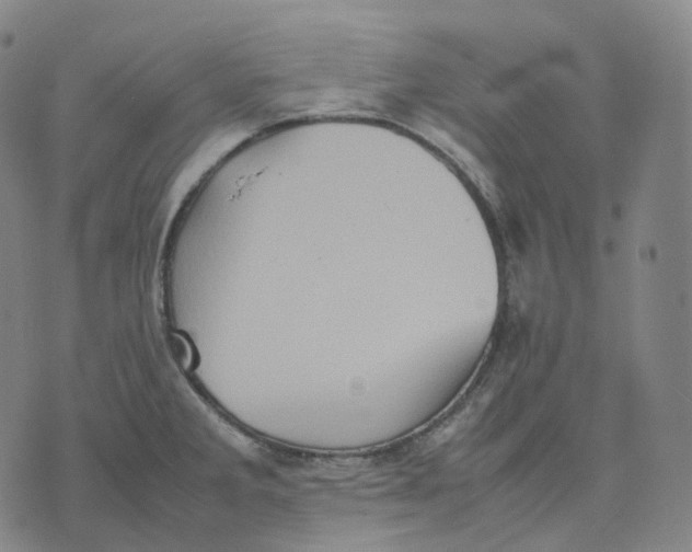 X0000074231285200609151637