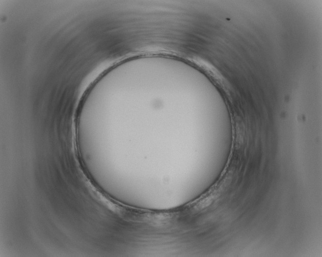 X0000074231286200609151637