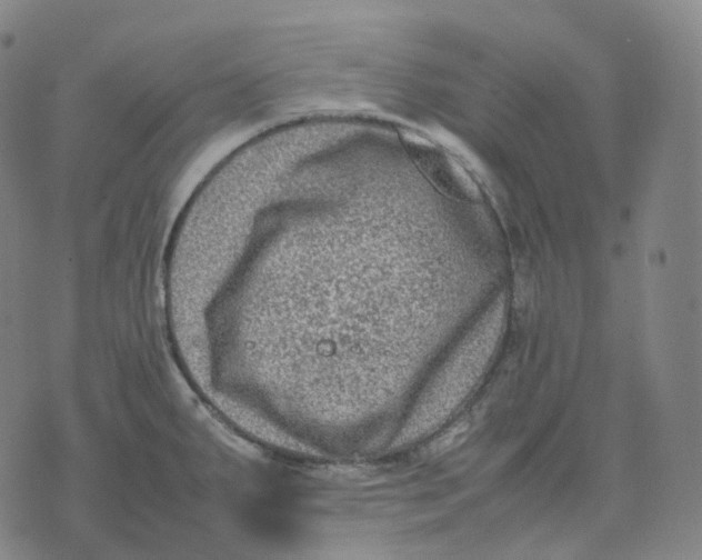 X0000074231287200609151637