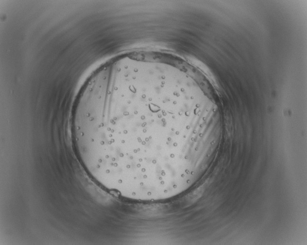 X0000074231288200609151637