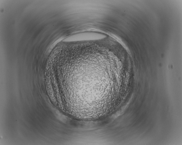 X0000074231289200609151637