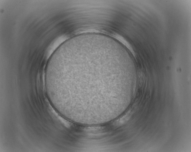 X0000074231290200609151637