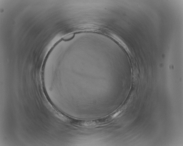 X0000074231291200609151637