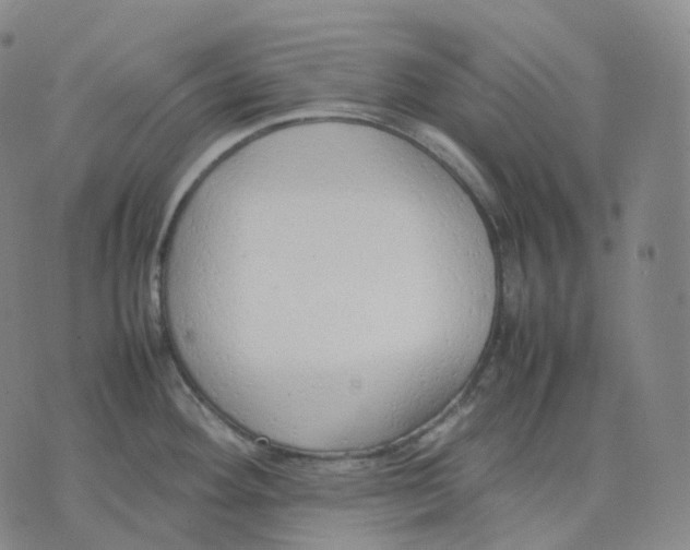 X0000074231292200609151637