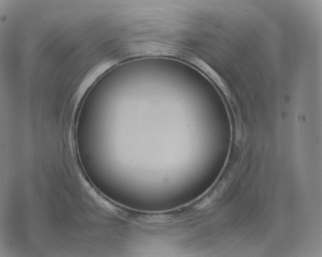 X0000074231293200609151637