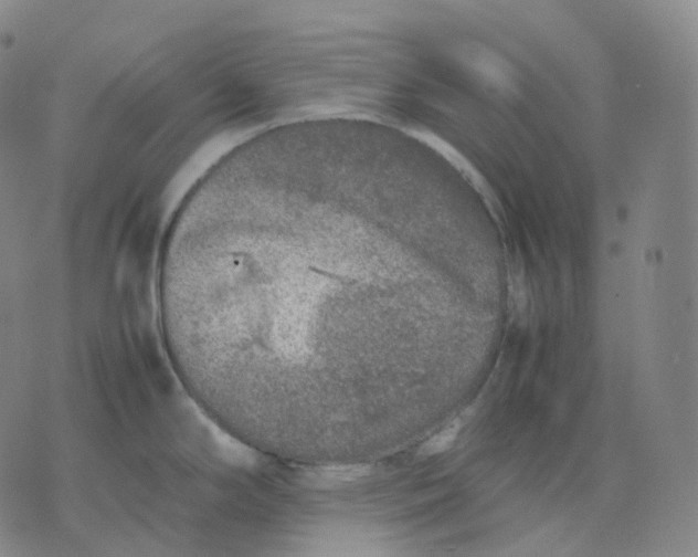 X0000074231294200609151637