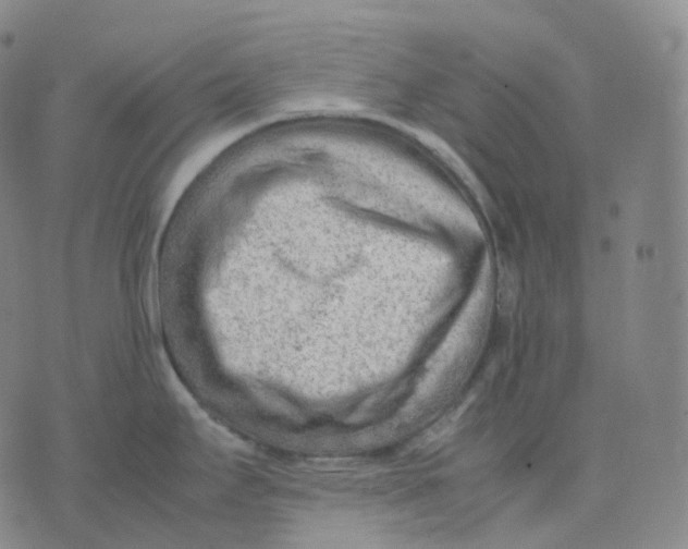 X0000074231295200609151637