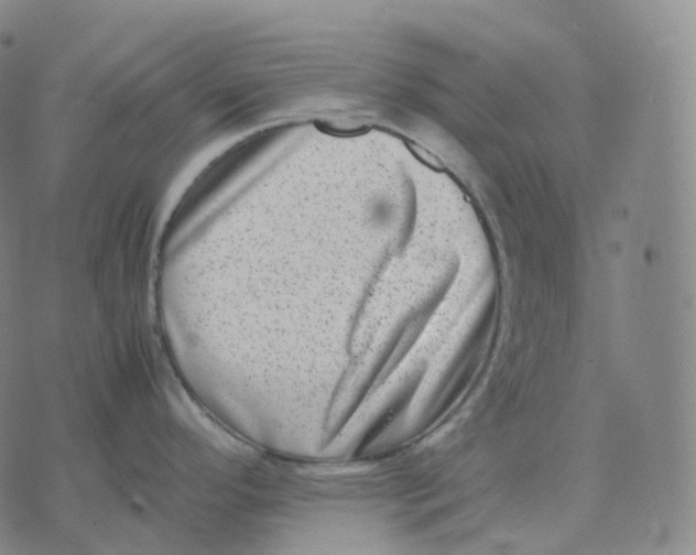 X0000074231296200609151637