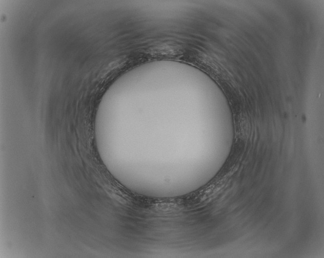 X0000074231297200609151636