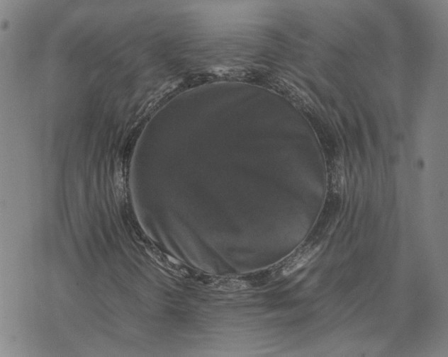 X0000074231298200609151636