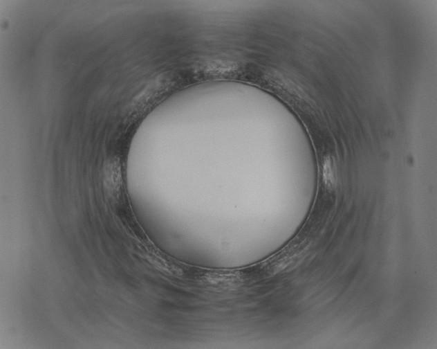 X0000074231299200609151636