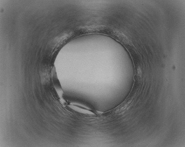 X0000074231300200609151636