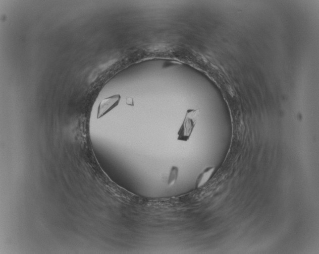 X0000074231301200609151636