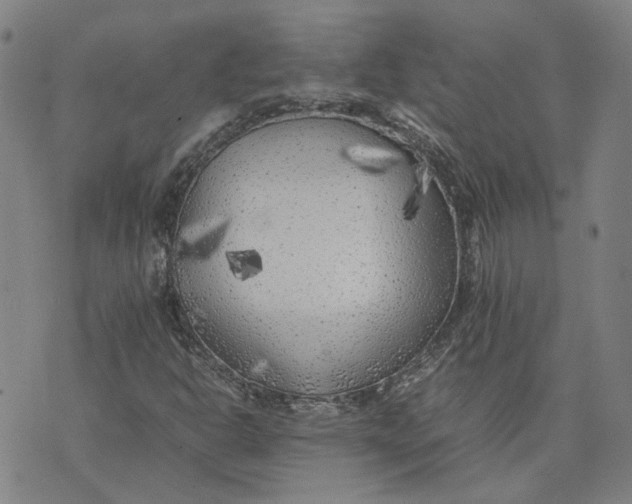 X0000074231302200609151636