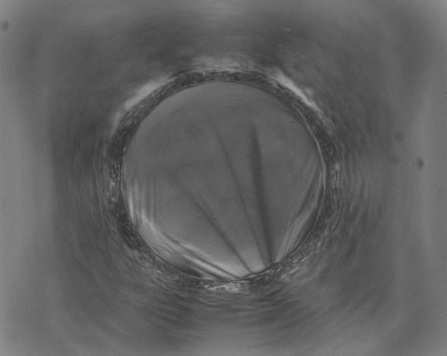 X0000074231303200609151636