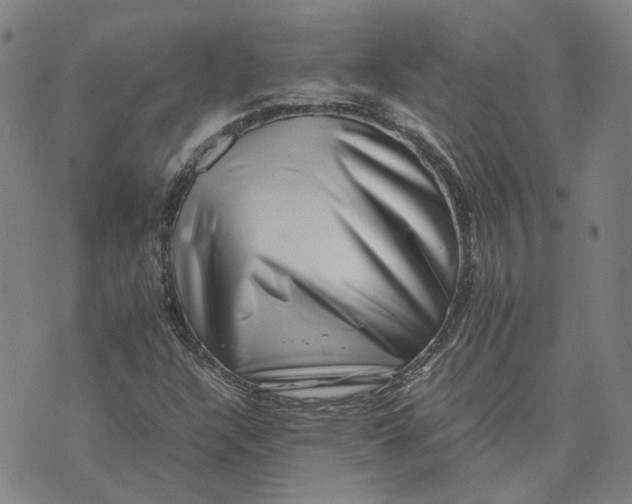 X0000074231304200609151636