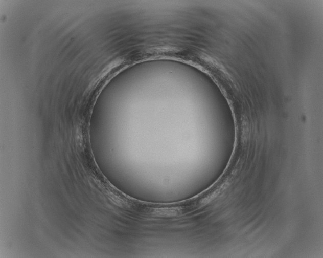 X0000074231305200609151636