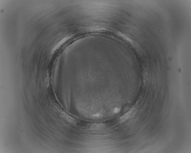 X0000074231306200609151636