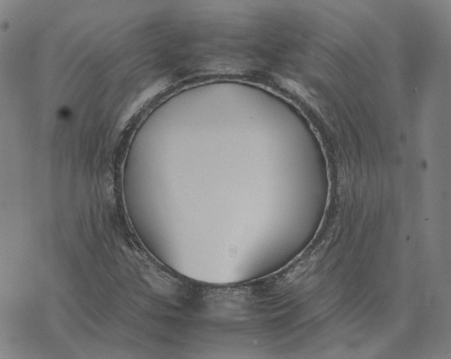 X0000074231307200609151636